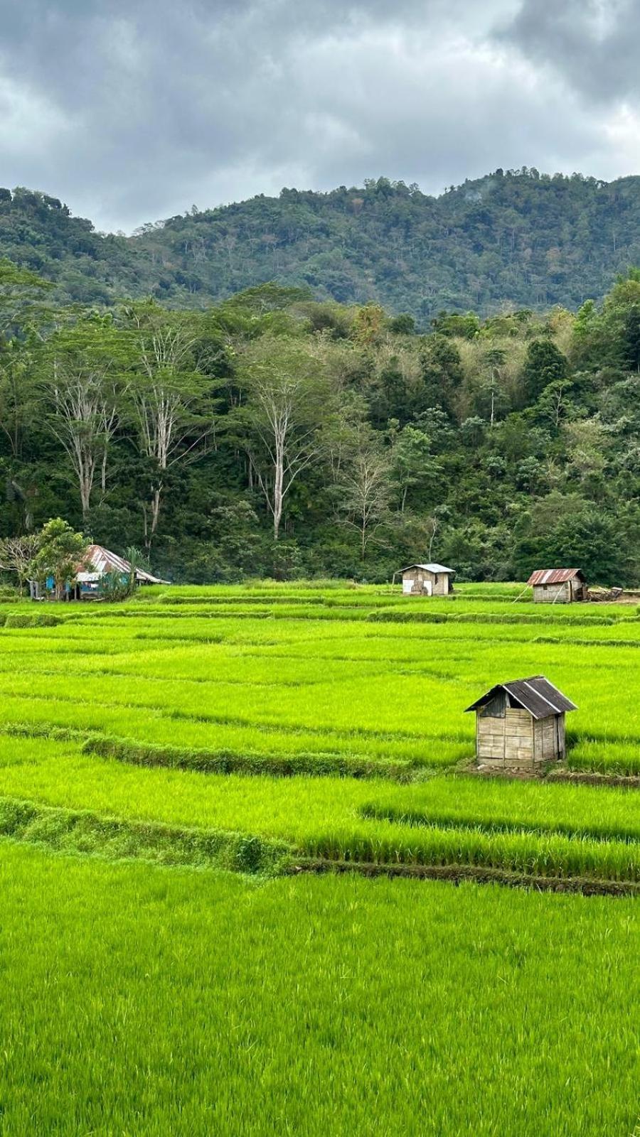 Petra Homestay Bangka Leda Ruteng Kültér fotó